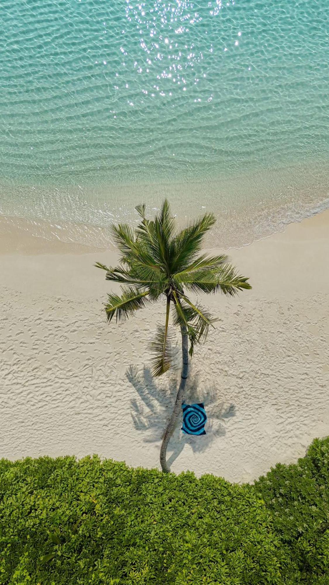 Lagoon Villa Maldives Thoddoo Exterior foto